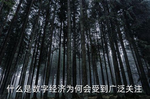 什么是數(shù)字經(jīng)濟為何會受到廣泛關(guān)注