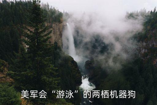 聲控四足機(jī)器人圖,四足機(jī)器人怎么拼?拼裝步驟如下