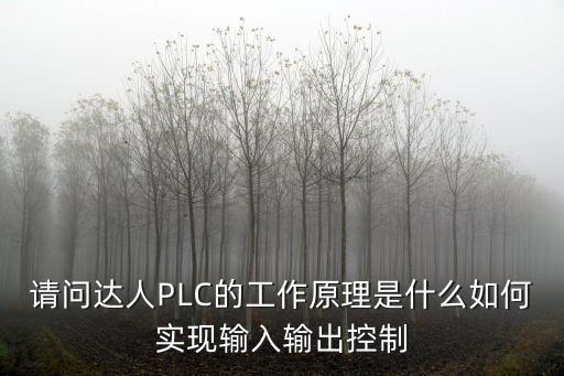 請(qǐng)問(wèn)達(dá)人PLC的工作原理是什么如何實(shí)現(xiàn)輸入輸出控制