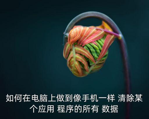 應(yīng)用程序里的數(shù)據(jù)可以清除嗎,手機(jī)應(yīng)用程序清除數(shù)據(jù)會(huì)怎么樣
