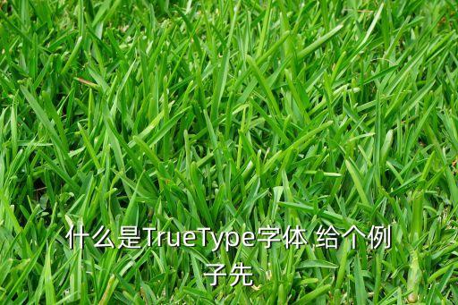 truetype，什么是TrueType字體 給個例子先