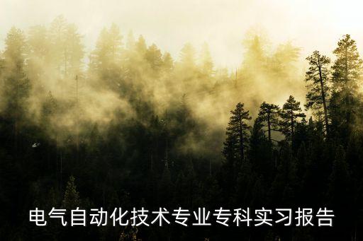 電氣自動化技術(shù)專業(yè)?？茖嵙?xí)報告