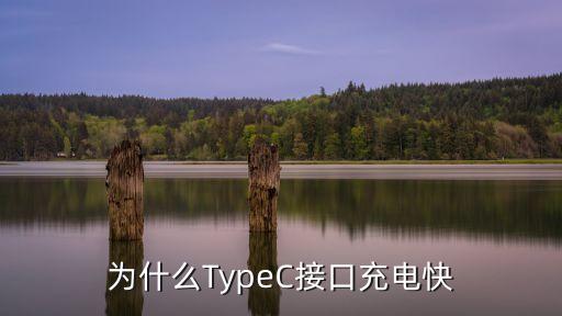 為什么TypeC接口充電快