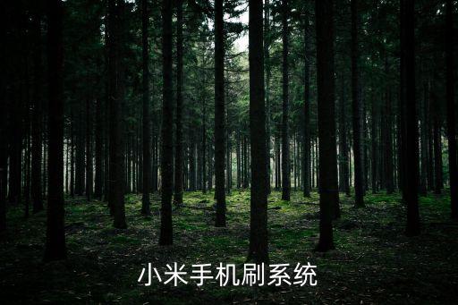 小米rom刷機包，小米的刷機包