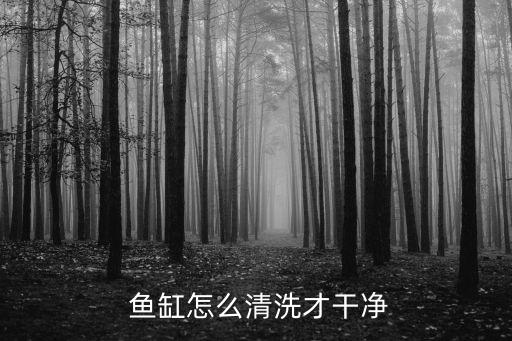  魚缸怎么清洗才干凈