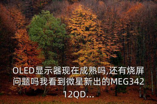 OLED顯示器現(xiàn)在成熟嗎,還有燒屏問題嗎我看到微星新出的MEG34212QD...