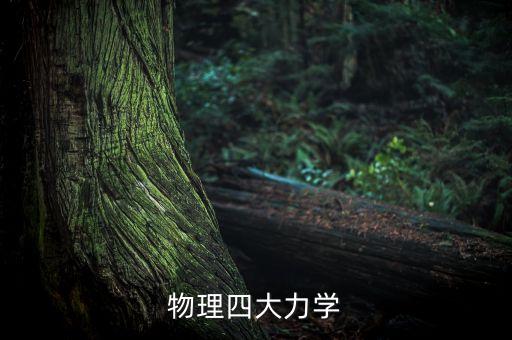 物理四大力學(xué)