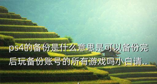 ps4的備份是什么意思是可以備份完后玩?zhèn)浞葙~號的所有游戲嗎小白請...
