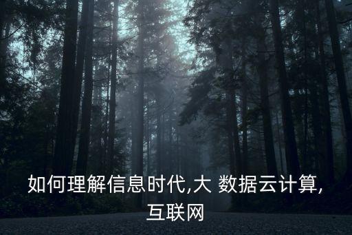 如何理解信息時代,大 數(shù)據(jù)云計算,互聯(lián)網(wǎng)