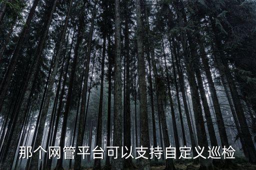 那個(gè)網(wǎng)管平臺(tái)可以支持自定義巡檢