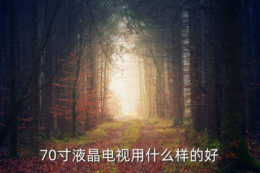 70寸液晶電視用什么樣的好