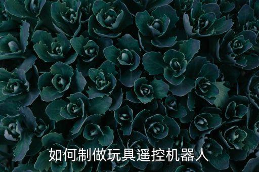 如何制做玩具遙控機器人
