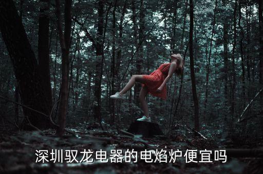 深圳馭龍電器的電焰爐便宜嗎