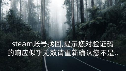 steam賬號(hào)找回,提示您對(duì)驗(yàn)證碼的響應(yīng)似乎無效請(qǐng)重新確認(rèn)您不是...