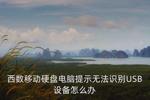 西數(shù)移動(dòng)硬盤電腦提示無法識(shí)別USB設(shè)備怎么辦