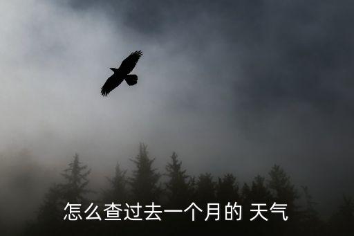 怎么查過去一個(gè)月的 天氣