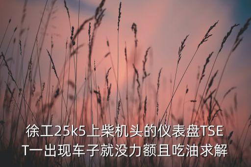 徐工25k5上柴機(jī)頭的儀表盤TSET一出現(xiàn)車子就沒力額且吃油求解