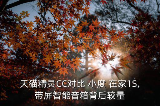 天貓精靈CC對比 小度 在家1S,帶屏智能音箱背后較量