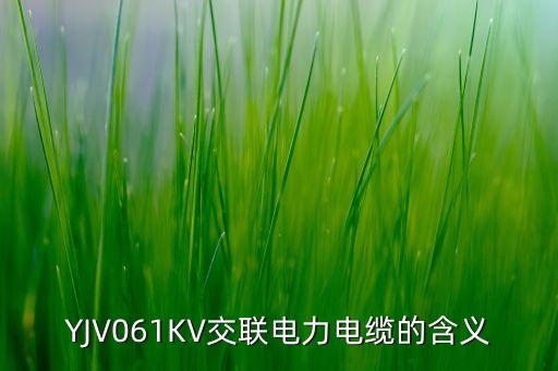 YJV061KV交聯(lián)電力電纜的含義