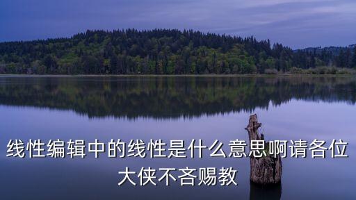 線性編輯中的線性是什么意思啊請(qǐng)各位大俠不吝賜教