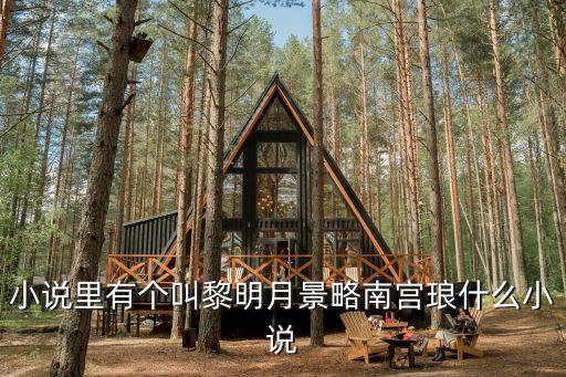 小說里有個叫黎明月景略南宮瑯什么小說