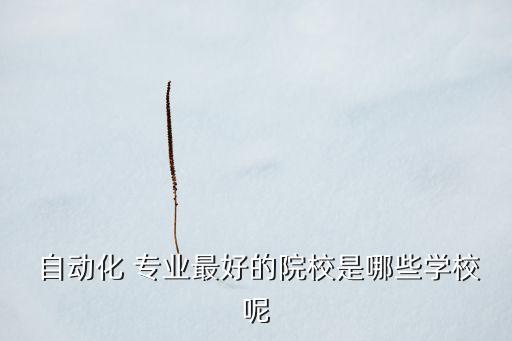  自動化 專業(yè)最好的院校是哪些學校呢
