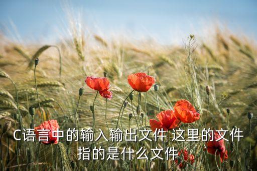 C語言中的輸入輸出文件 這里的文件指的是什么文件