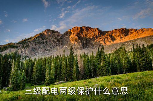 三級(jí)配電兩級(jí)保護(hù)什么意思