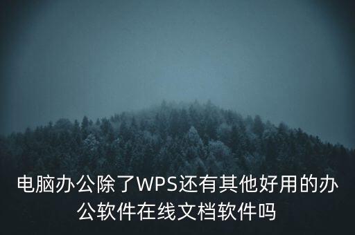 電腦辦公除了WPS還有其他好用的辦公軟件在線文檔軟件嗎