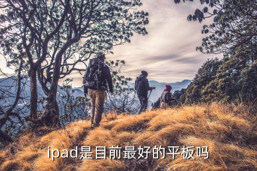 平板ipad，ipad和平板電腦有何區(qū)別