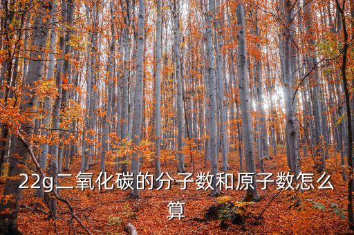 22g二氧化碳的分子數(shù)和原子數(shù)怎么算
