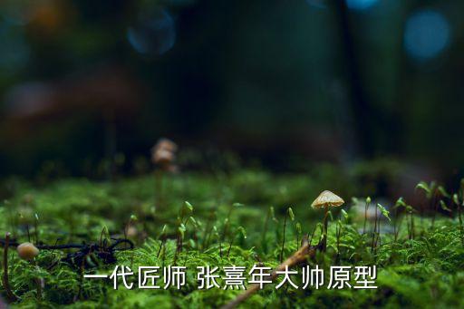張熹,一代匠師張熹年大帥原型是明朝抗倭名將李成梁