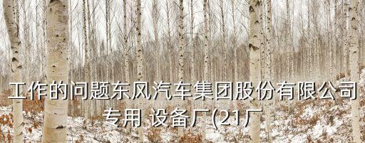 工作的問(wèn)題東風(fēng)汽車集團(tuán)股份有限公司專用 設(shè)備廠(21廠