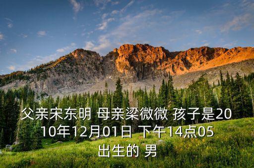 宋小虎，幫我給虎年出生姓宋的小男孩取個(gè)名字生日20101111 謝