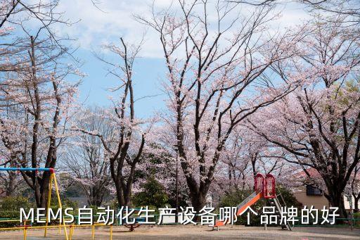 MEMS自動(dòng)化生產(chǎn)設(shè)備哪個(gè)品牌的好