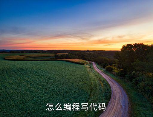 代碼編程入門，學(xué)代碼從何做起