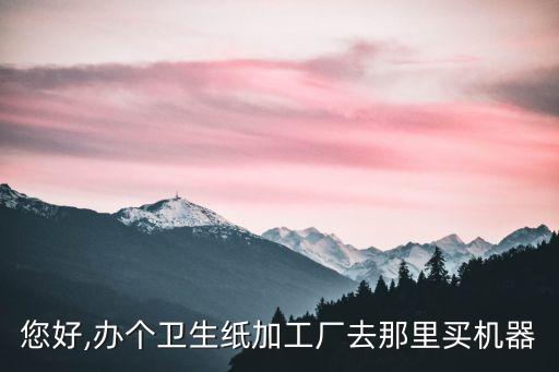 您好,辦個(gè)衛(wèi)生紙加工廠去那里買(mǎi)機(jī)器