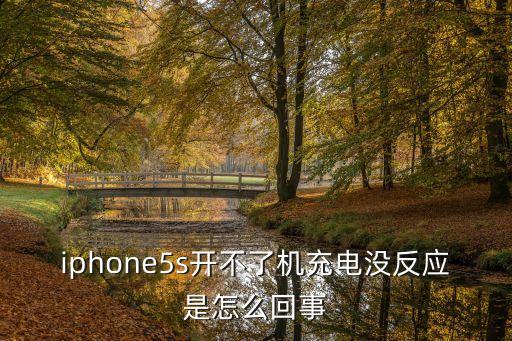 iphone5s開不了機充電沒反應(yīng)是怎么回事