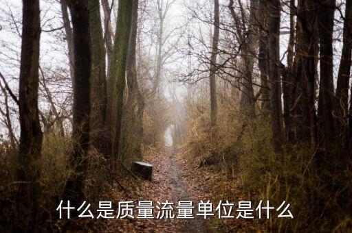 質(zhì)流，什么是質(zhì)量流量單位是什么