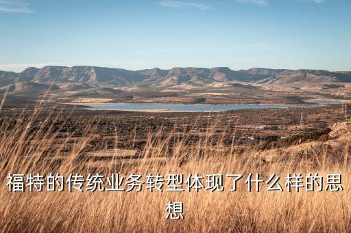 福特的傳統(tǒng)業(yè)務(wù)轉(zhuǎn)型體現(xiàn)了什么樣的思想