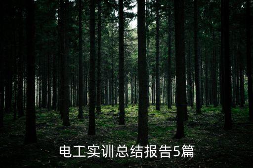 電氣工程及其自動(dòng)化制圖心得體會(huì)