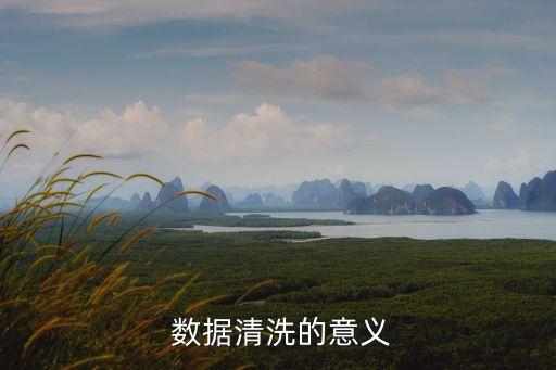  數(shù)據(jù)清洗的意義