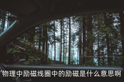 物理中勵磁線圈中的勵磁是什么意思啊