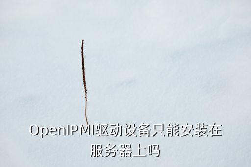 OpenIPMI驅(qū)動(dòng)設(shè)備只能安裝在服務(wù)器上嗎