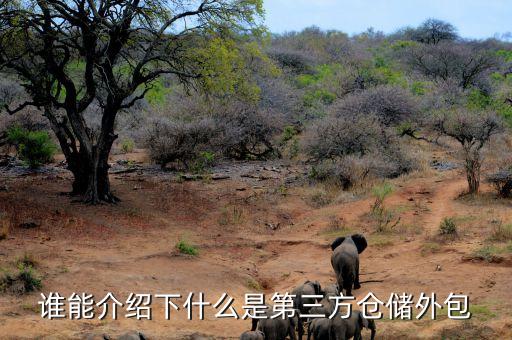 物流自動(dòng)化倉儲(chǔ)外包公司,第三方倉儲(chǔ)物流公司有哪些你好!