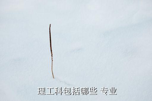  理工科包括哪些 專業(yè)