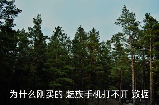 為什么剛買的 魅族手機打不開 數(shù)據(jù)
