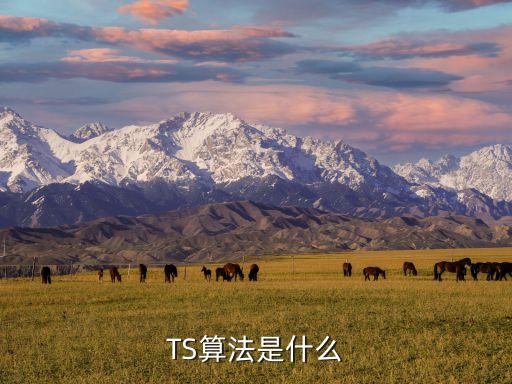 禁忌搜索算法，禁忌搜索算法的matlab實(shí)現(xiàn)