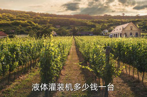 液體灌裝機(jī)多少錢(qián)一臺(tái)
