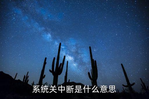 系統(tǒng)關(guān)中斷是什么意思